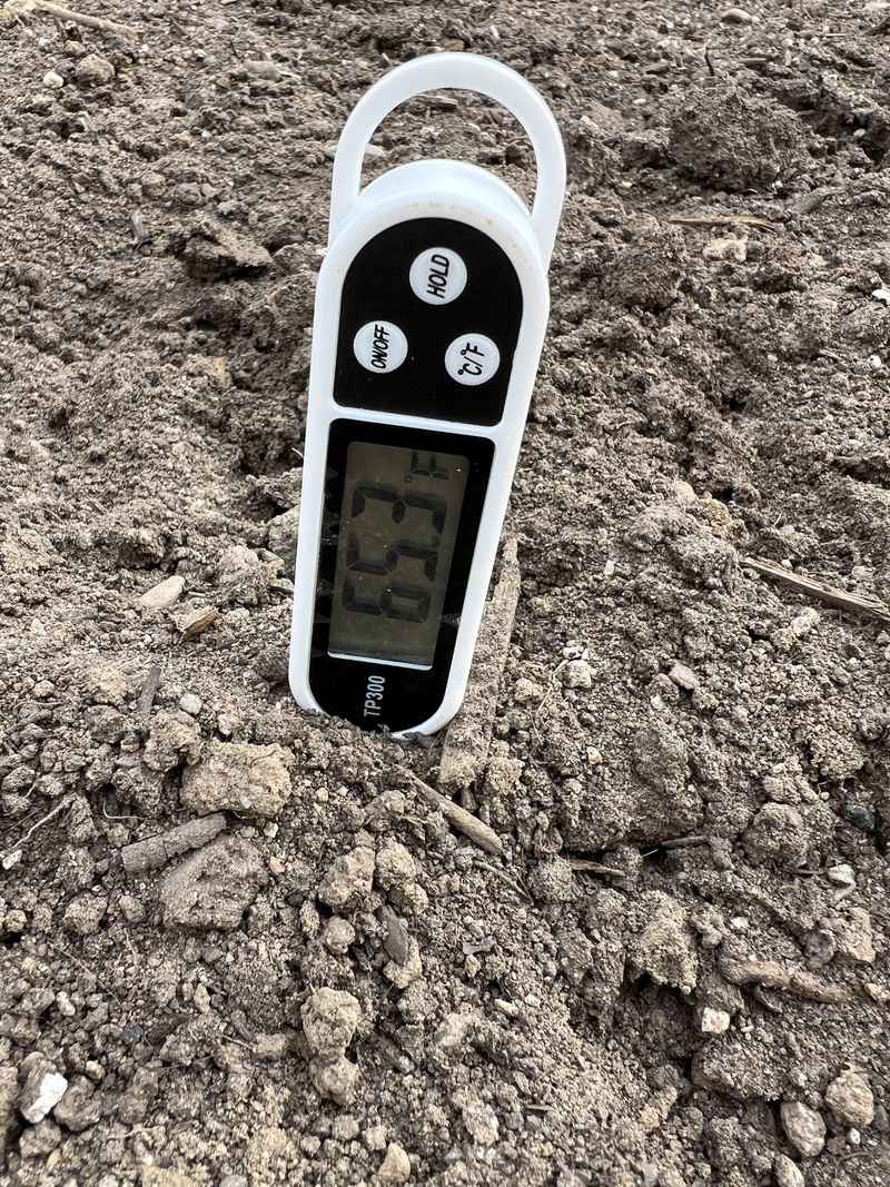 Yes, But Wait For Warm Soil