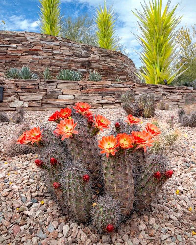 Supports Pollinators And Backyard Wildlife