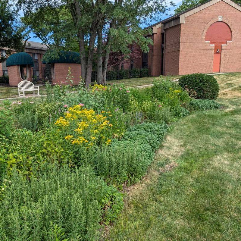 Understanding Your HOA Guidelines Before Planting