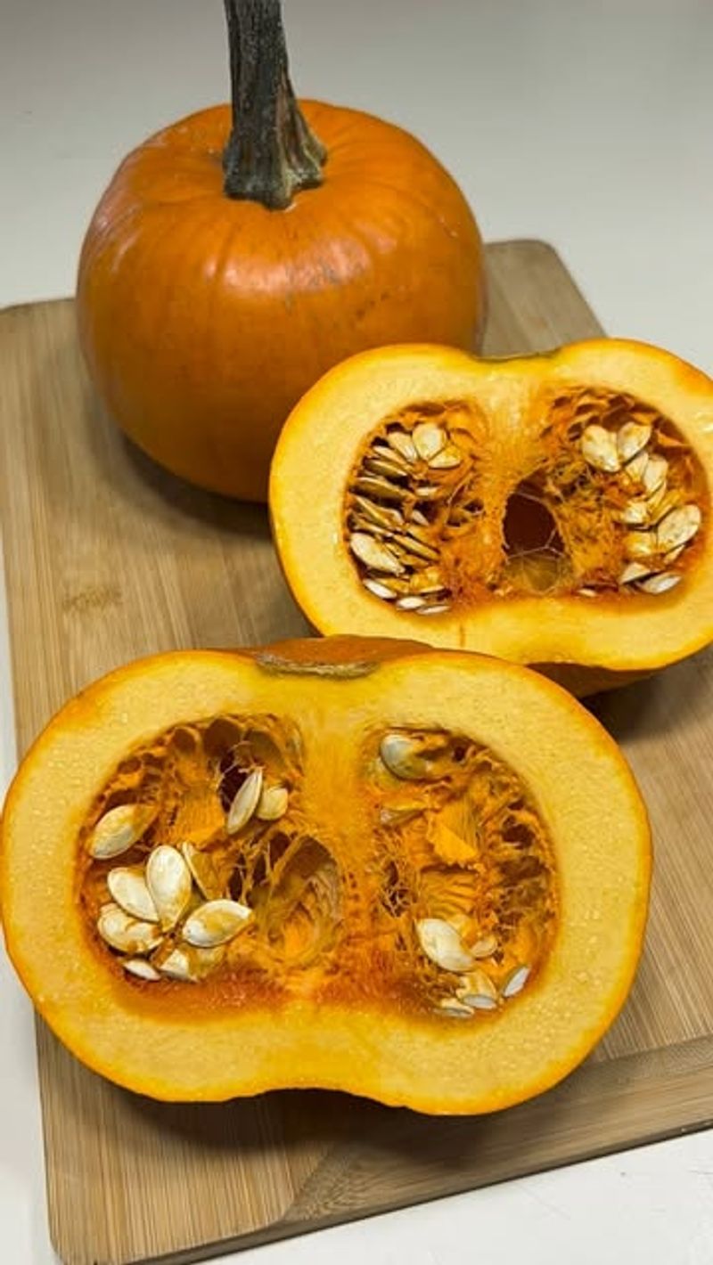 Pumpkin Seeds Growing Big, Bright Gourds