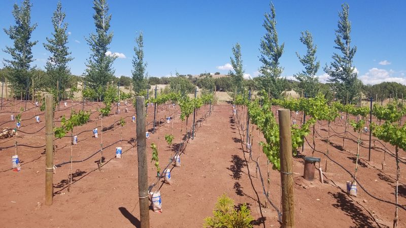 Enjoy Seasonal Events And Farm Experiences