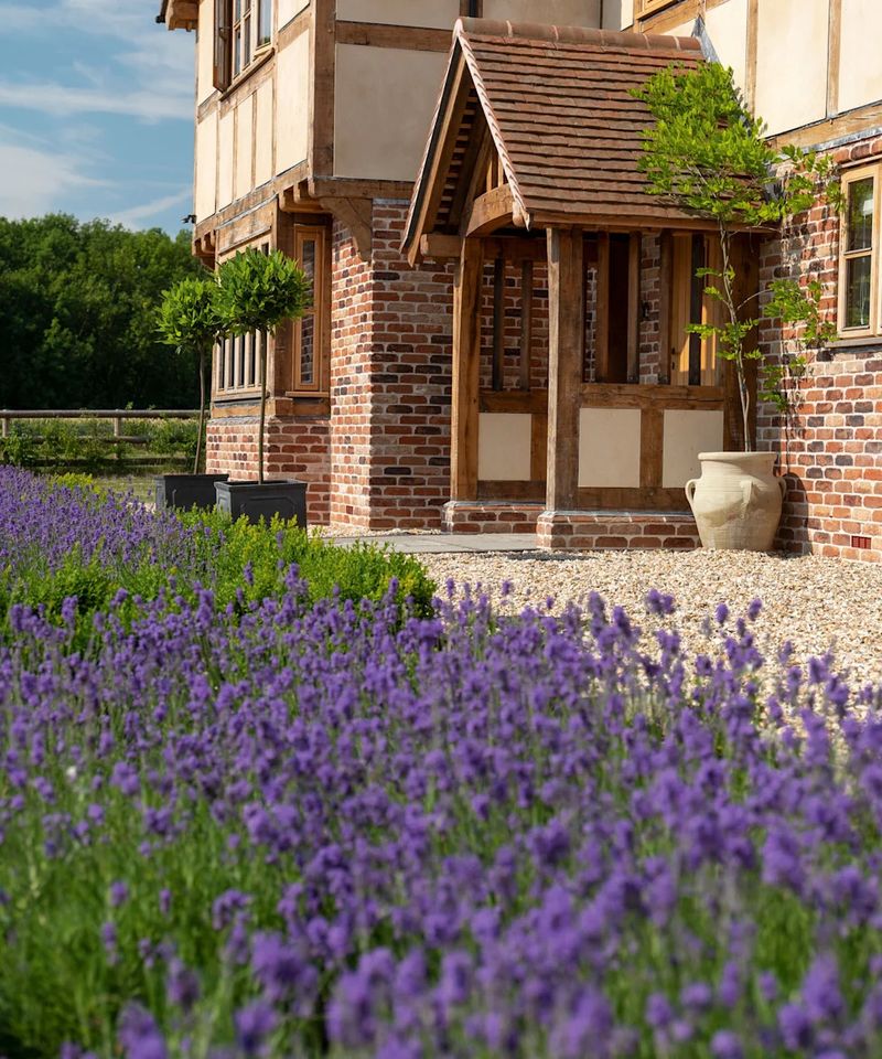 Lavender Makes The Walkway Feel Crisp And Fresh