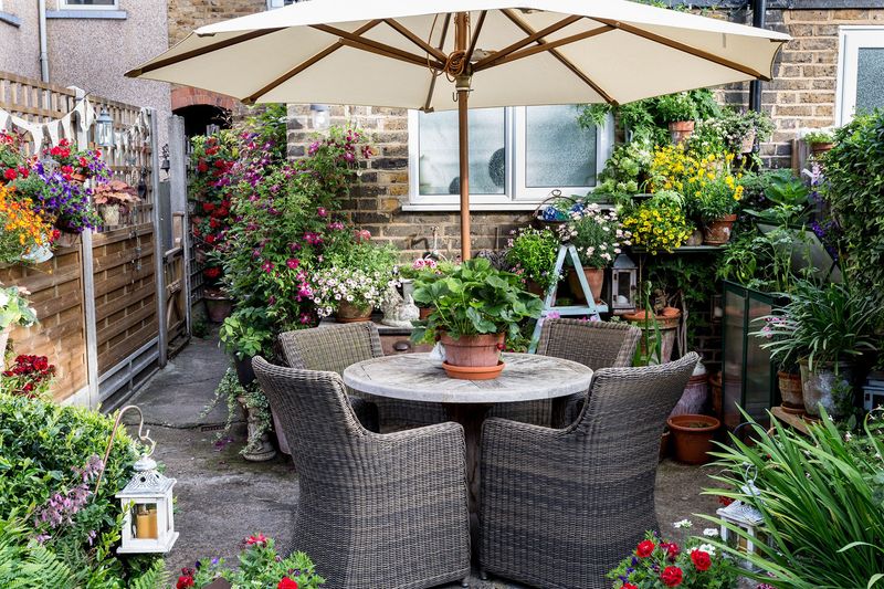 Umbrellas Help Shield Small Beds During Extreme Heat