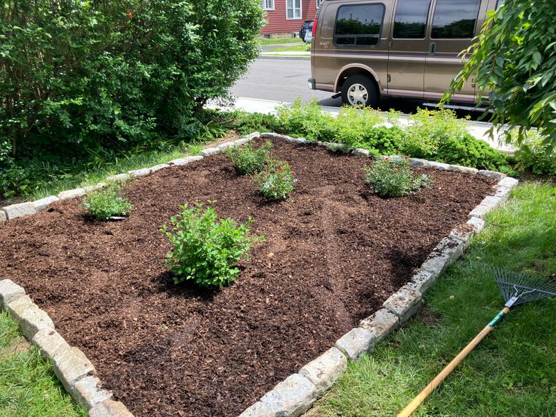 Add Mulch To Protect Soil