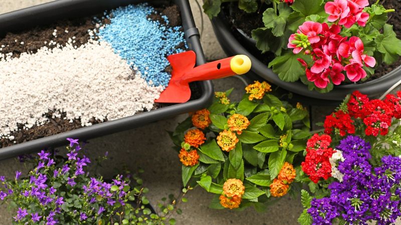 Add Slow Release Fertilizer Before Active Growth Begins