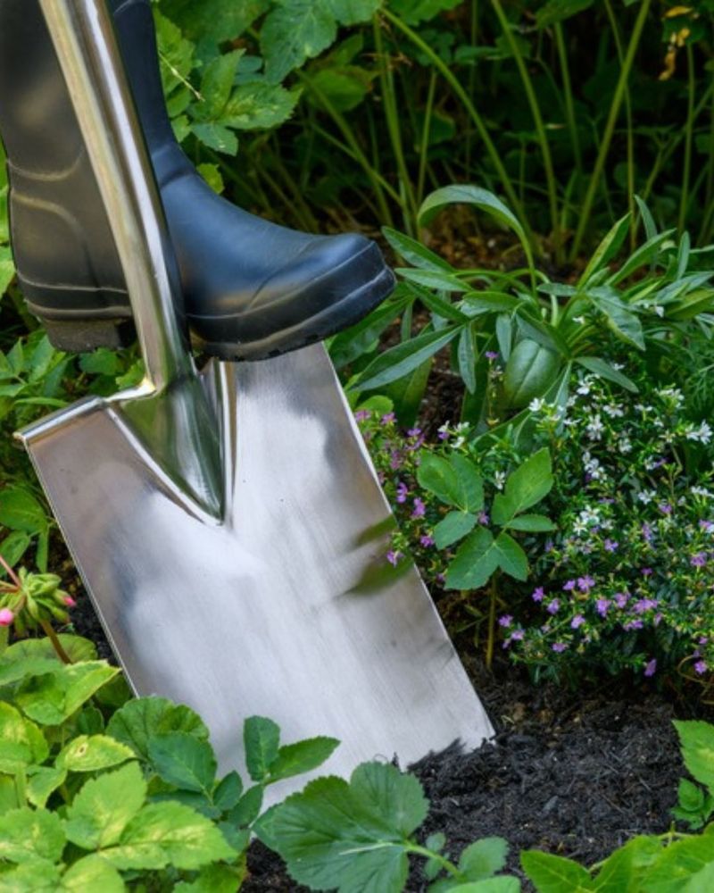 Complete Required Training Or Programs