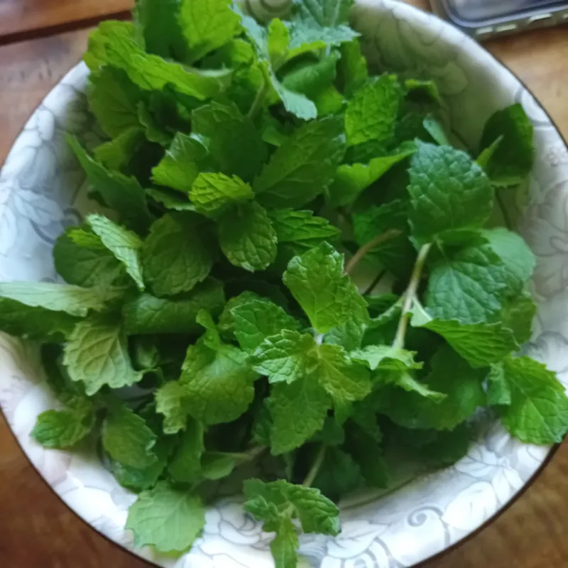 Mint Spreading Fast With Cool Refreshing Leaves