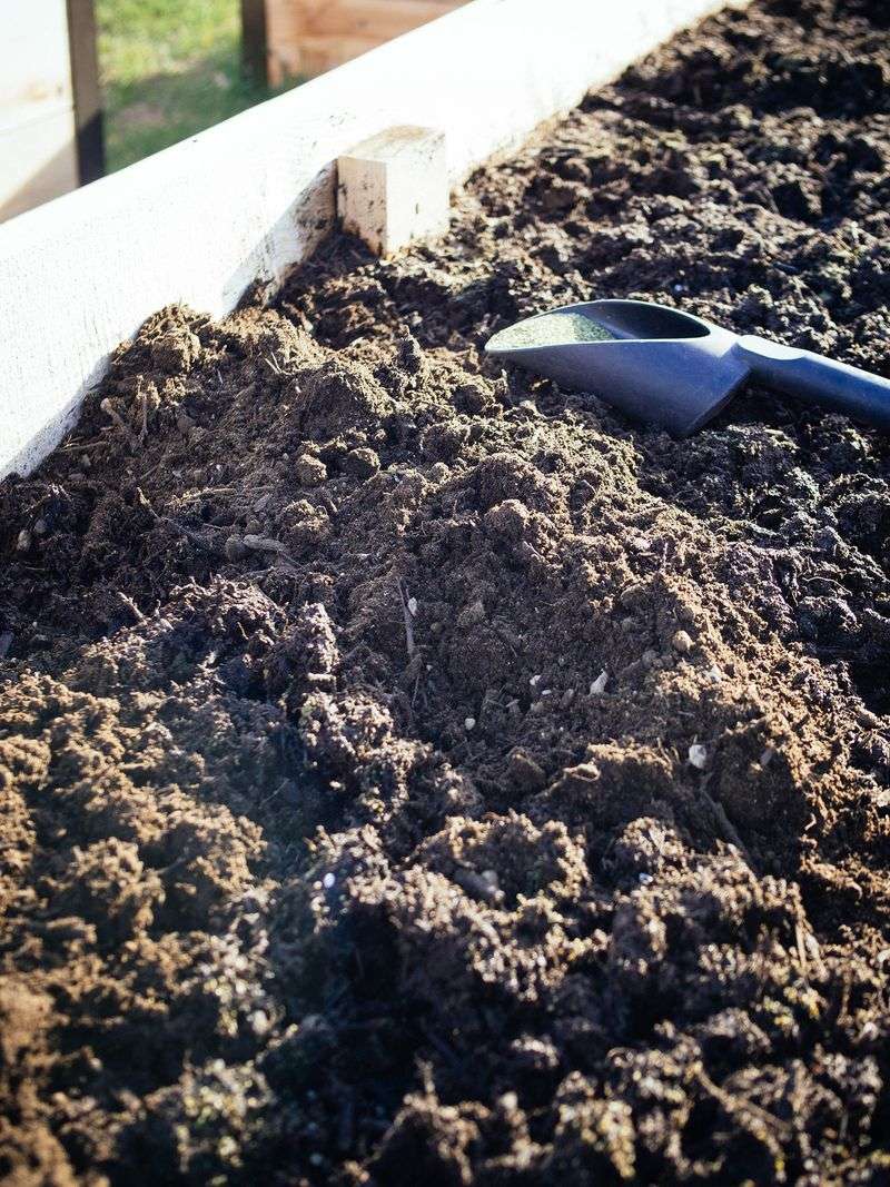 Improve Soil First For Strong Roots And Better Drainage