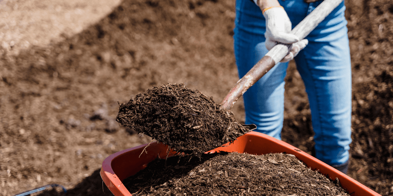 Improve Desert Soil With Compost And Organic Matter