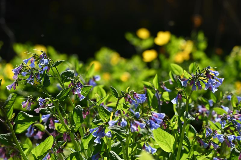 Seasonal Maintenance Keeps Your Garden Looking Sharp