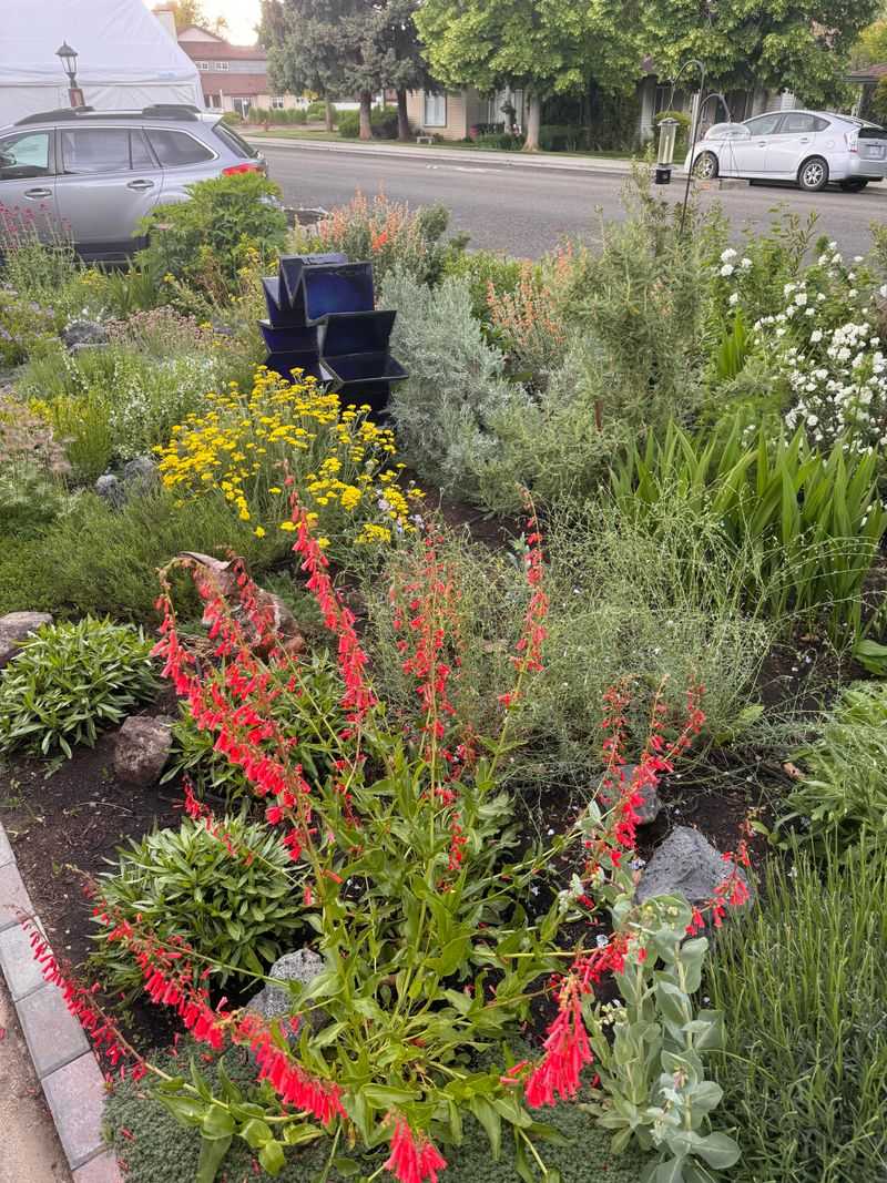 Avoid High-Water Plants That Struggle In Dry Air