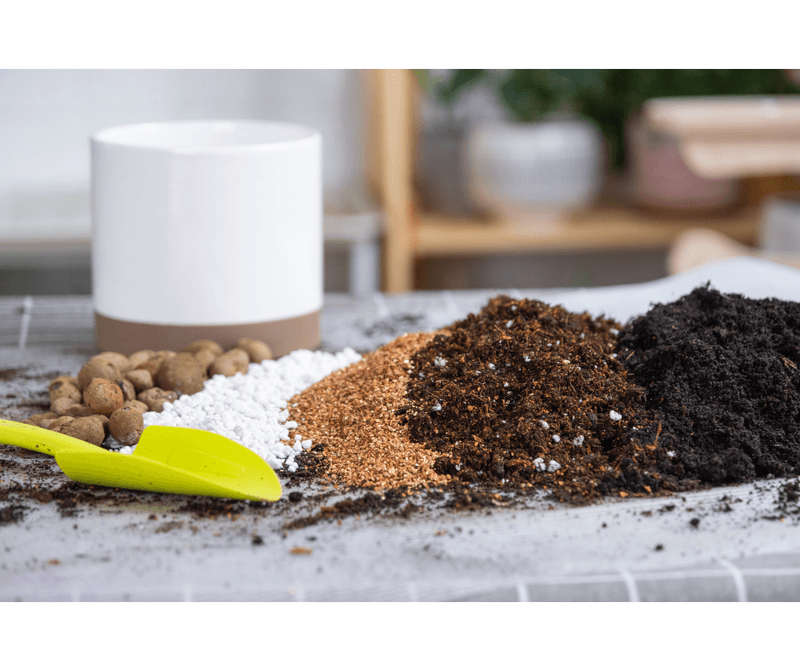 Pick The Best Potting Mix