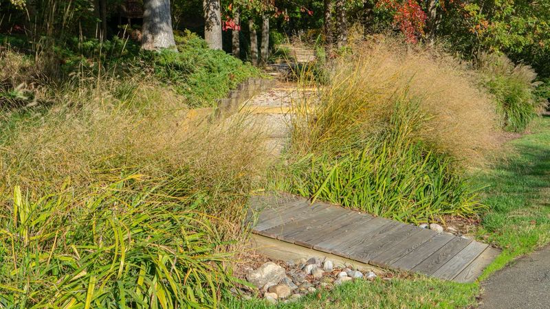 Understand Cool-Season Vs. Warm-Season Grasses In Virginia