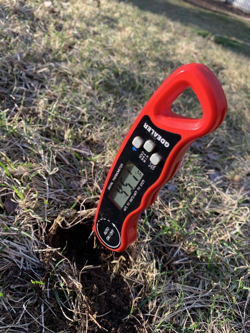 Wait For Soil To Warm