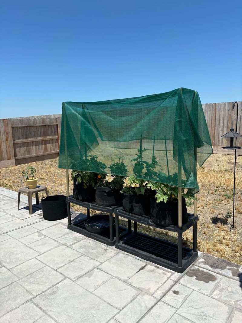 Using Shade And Watering Adjustments In Summer Plantings