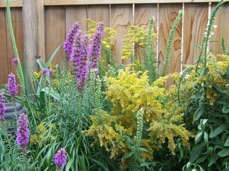 Let Deep Roots Keep Your Garden Green