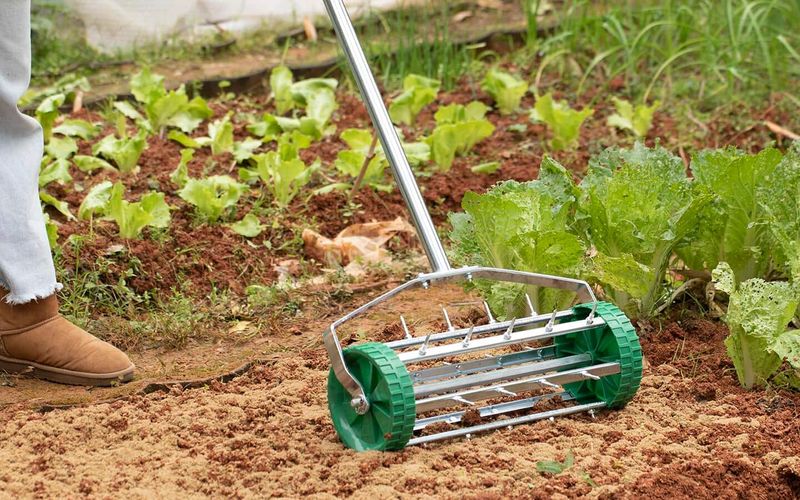 Planting In Poor Soil Without Amendments