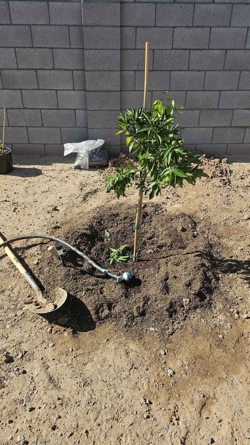 Soil Preparation Makes A Huge Difference Before You Dig