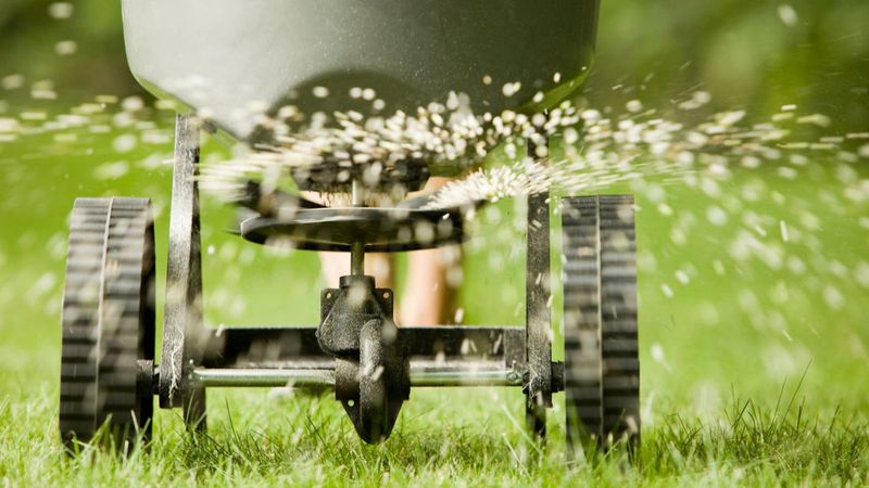 How To Apply Fertilizer Without Burning Your Lawn