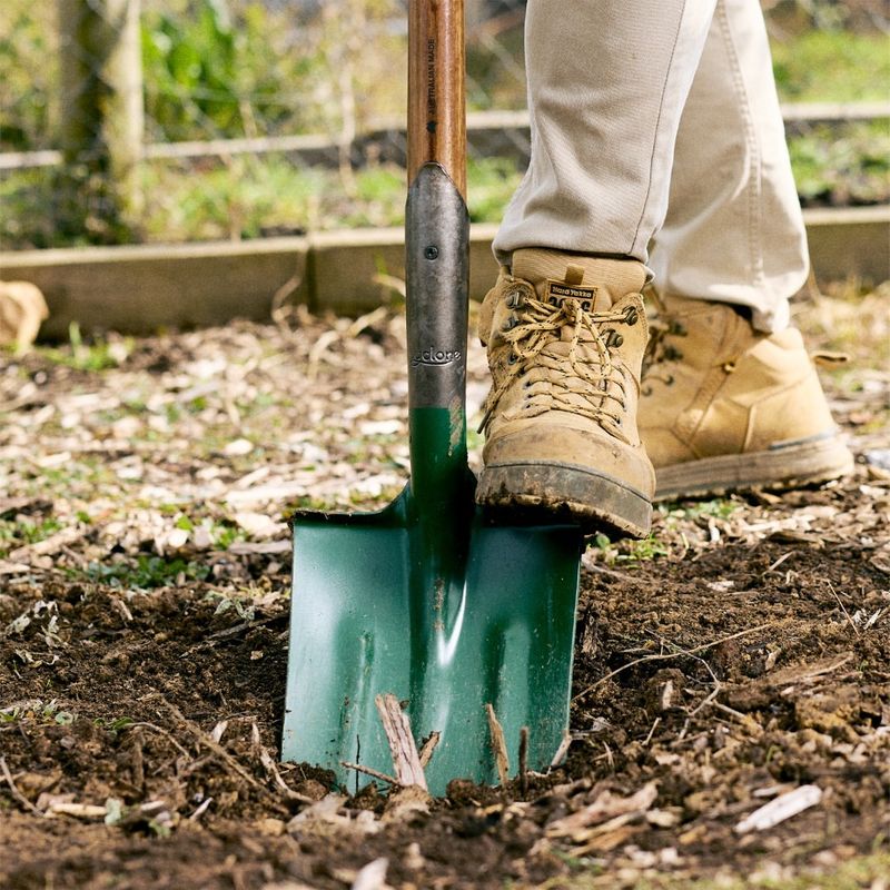 Planting Roses In Poorly Drained Soil That Struggles To Thrive