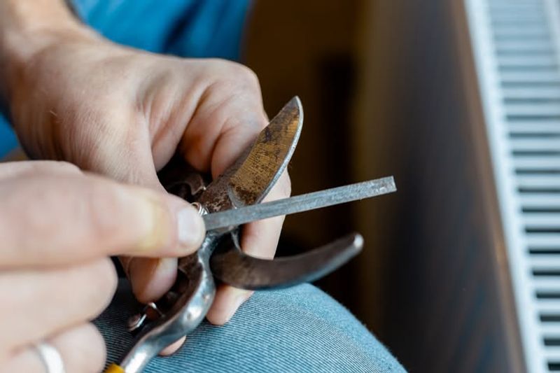 Inspect And Sharpen Garden Tools