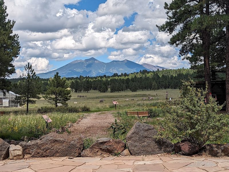 Views Open Into Coconino National Forest Surrounding The Arboretum