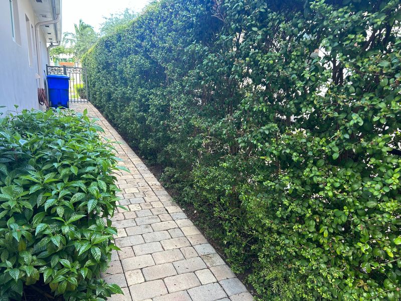 Simpson's Stopper Adds Native Privacy With A Polished Look