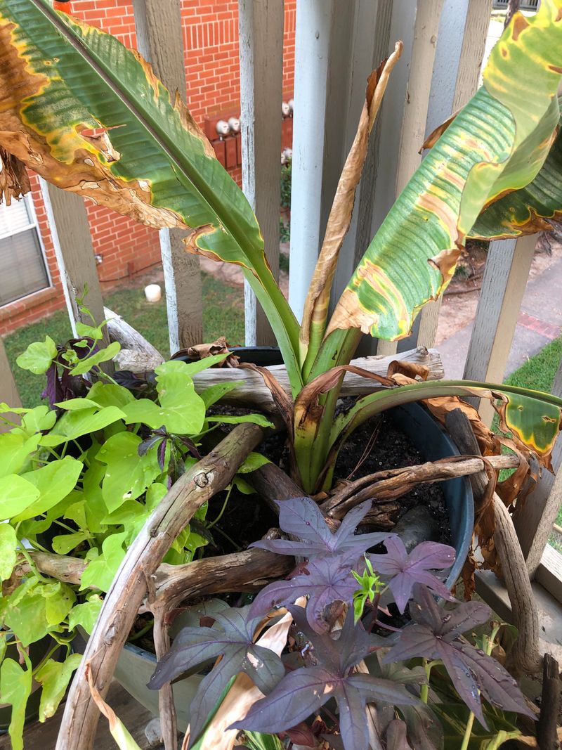 Overcrowding Creates A Mess Fast