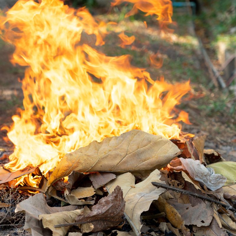 Yard Waste Burning And Debris Disposal
