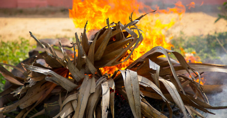 Common Yard Features That May Face Local Restrictions In Iowa