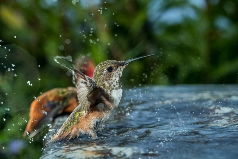 Simple Layout Choices Turn A Small Setup Into A Busy Stop