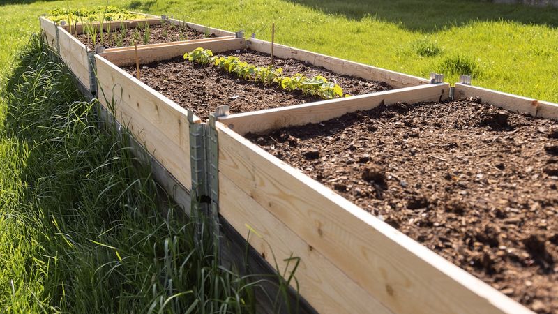 Build Raised Beds Where Clay Soil Drains Poorly
