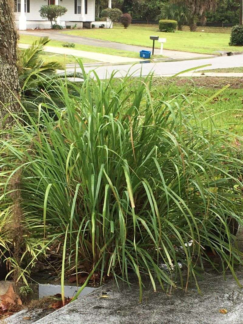 Community Trend And Neighborhood Appeal