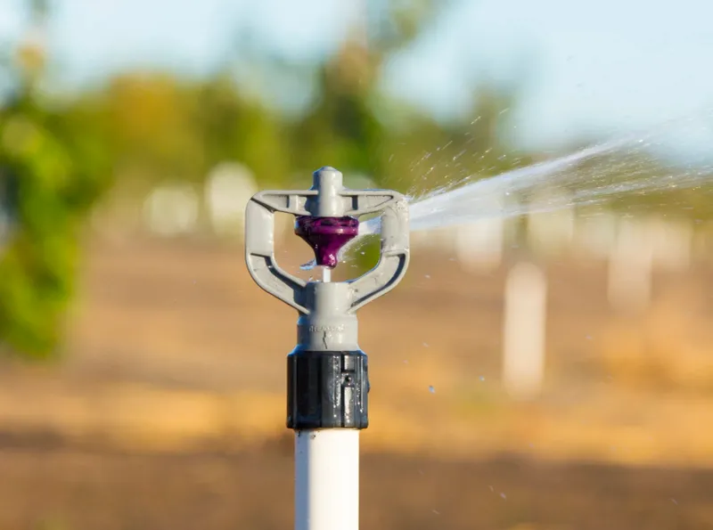 Use Water Or Sprinklers To Buffer Frost