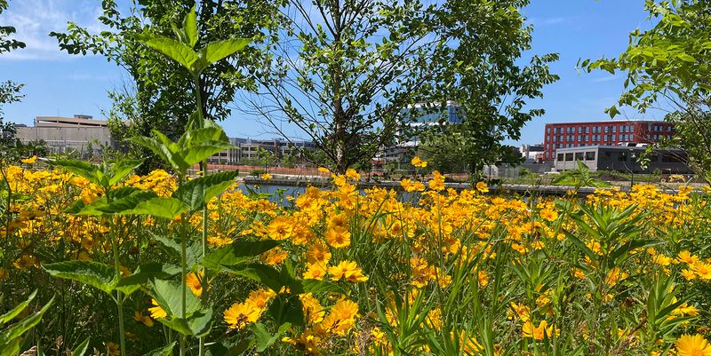 Skip The Pesticides And Go Organic