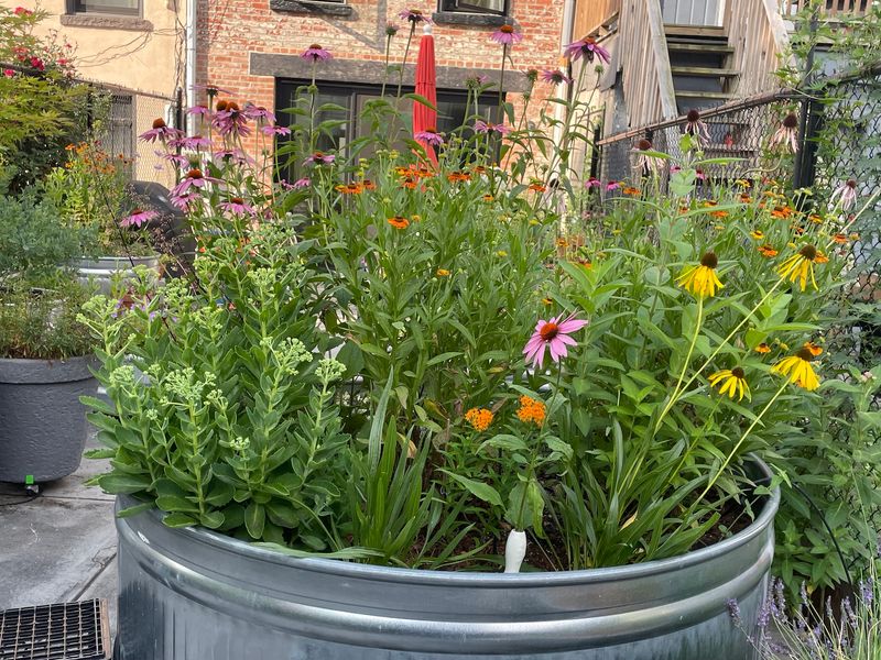 Build A Pollinator Planter