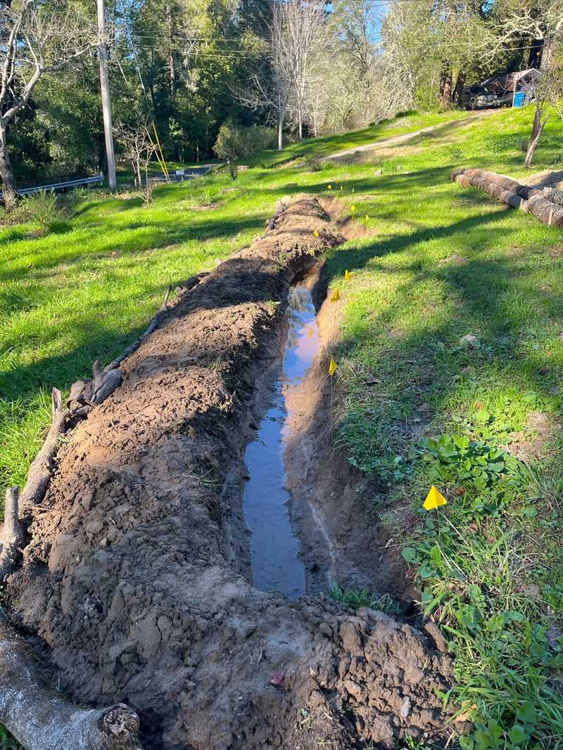 Improve Drainage First