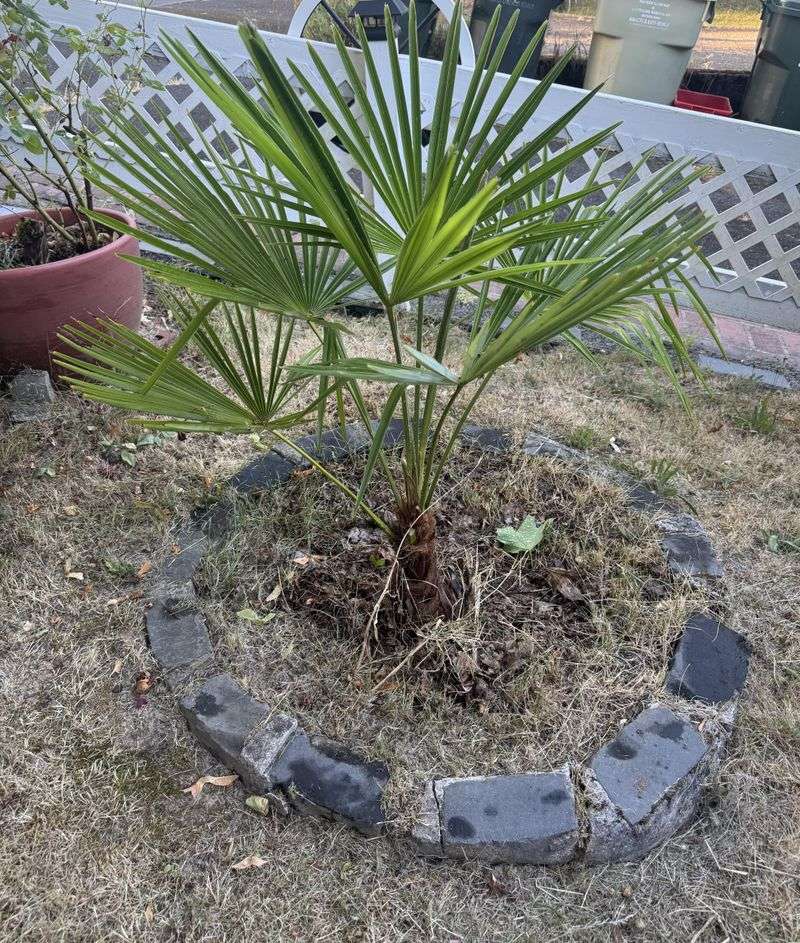 Skipping Soil Preparation