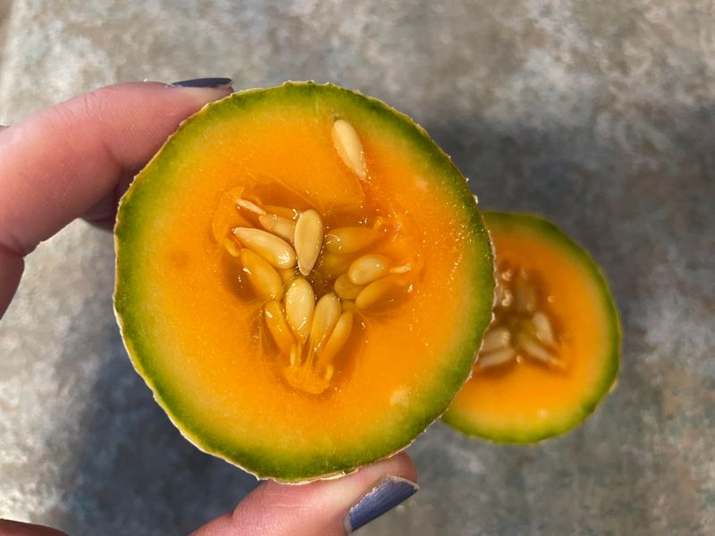 Cantaloupe Seeds With Sweet, Juicy Fruits