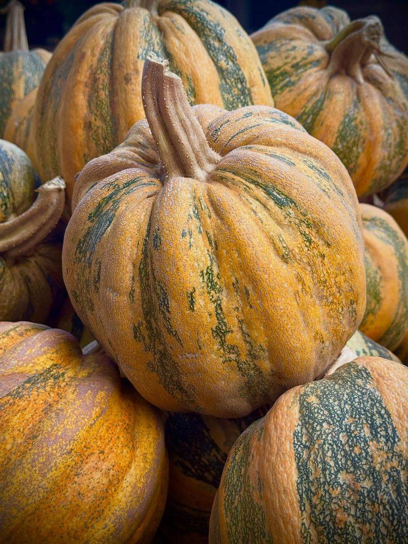 Squash Crushing The Competition