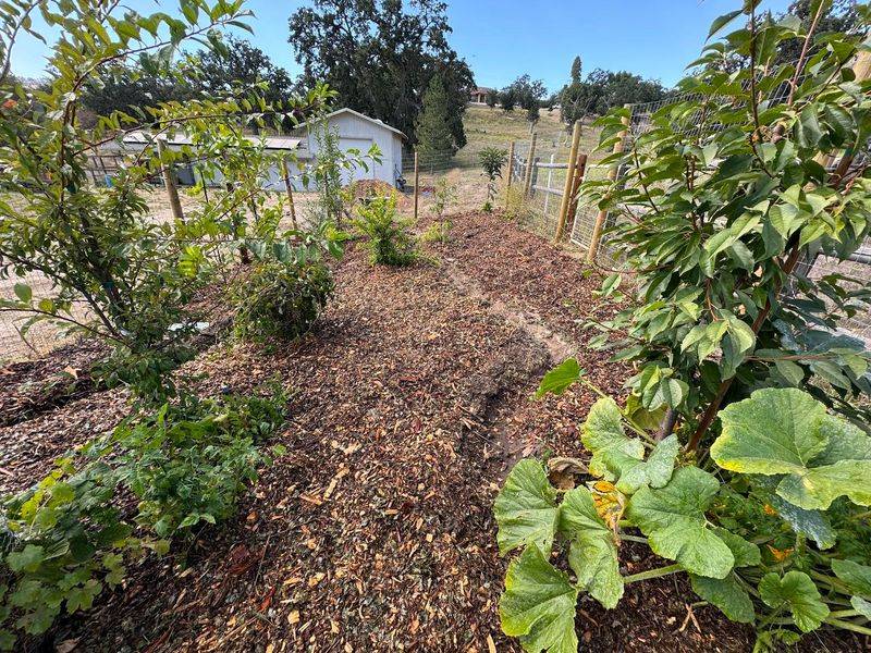 Add Mulch Everywhere