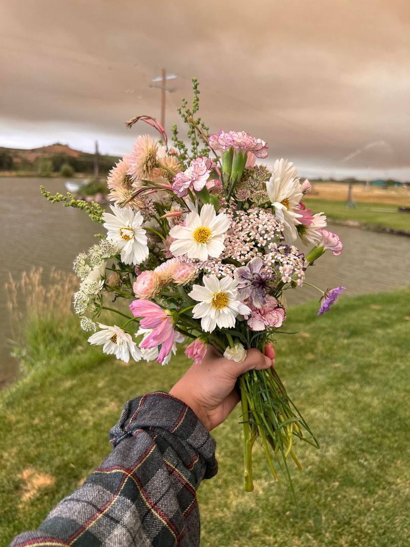 How To Cut Without Hurting Plants