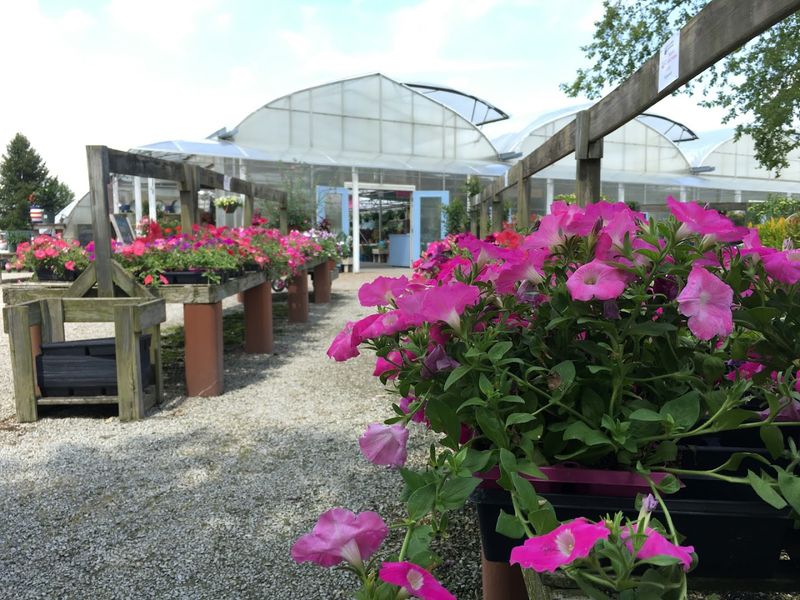 Baker's Acres Greenhouse Pairs Countryside Charm With Dramatic Scale