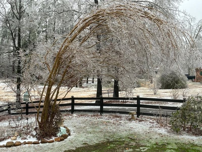 Ice Storms Cause More Damage Than Dry Snow