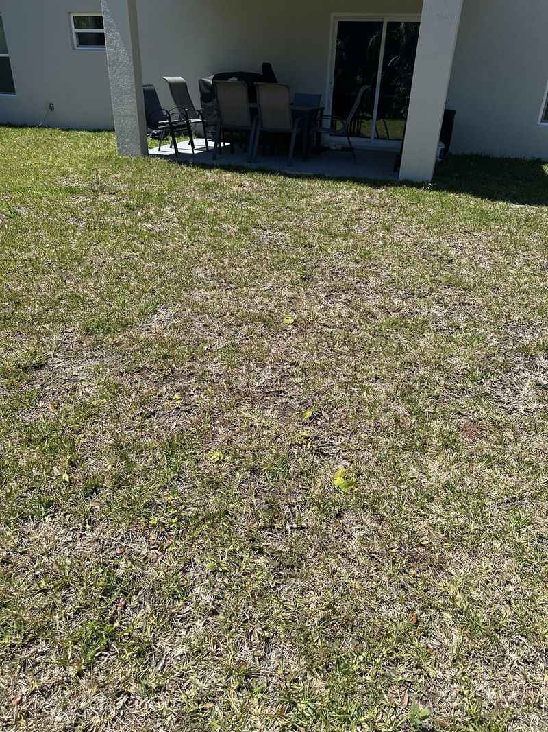 One Or Two Waterings A Week Is Often Enough