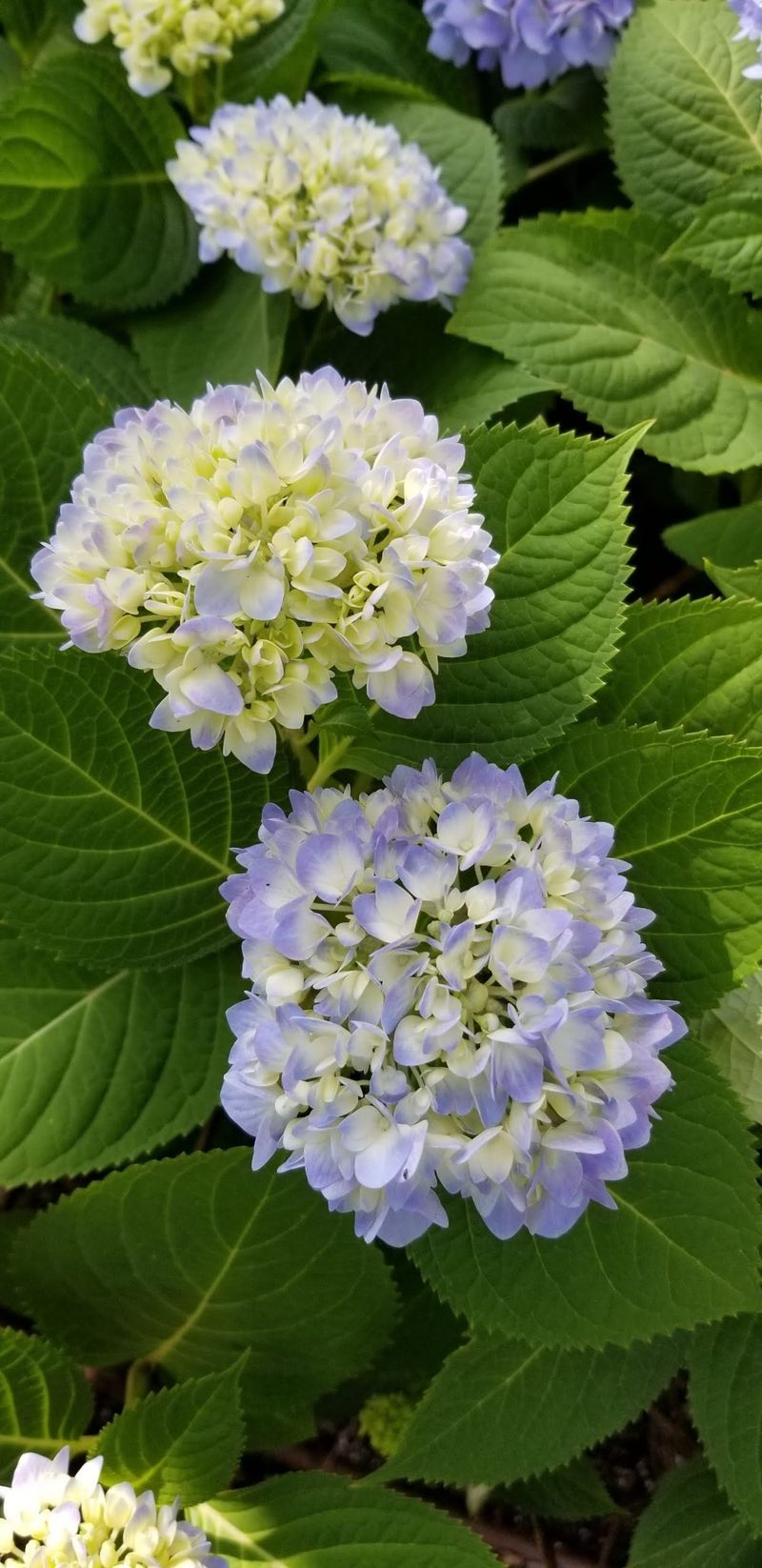 Consistent Moisture Is Crucial