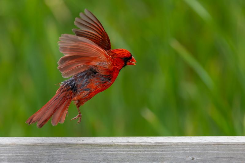 A Visit From A Loved One Who Has Passed
