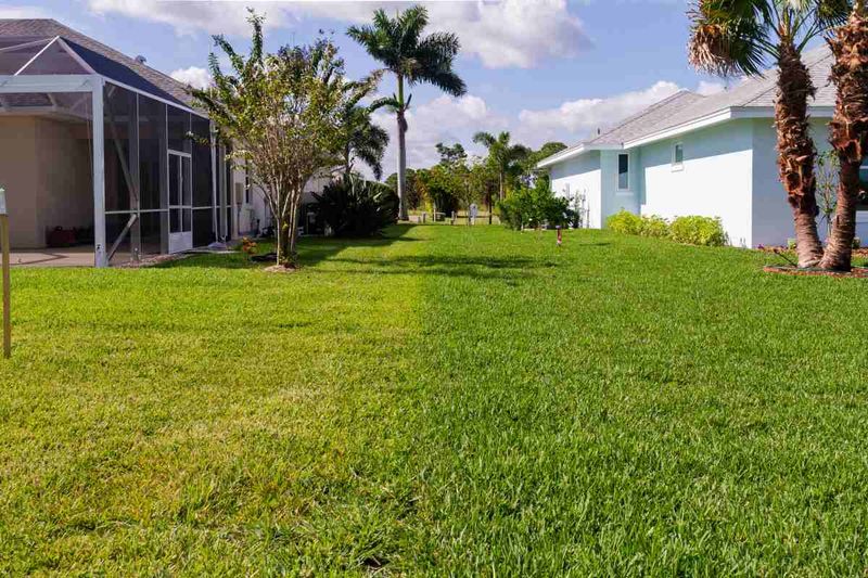 Healthy Florida Lawns Respond Better To Proper Fertilizer Timing