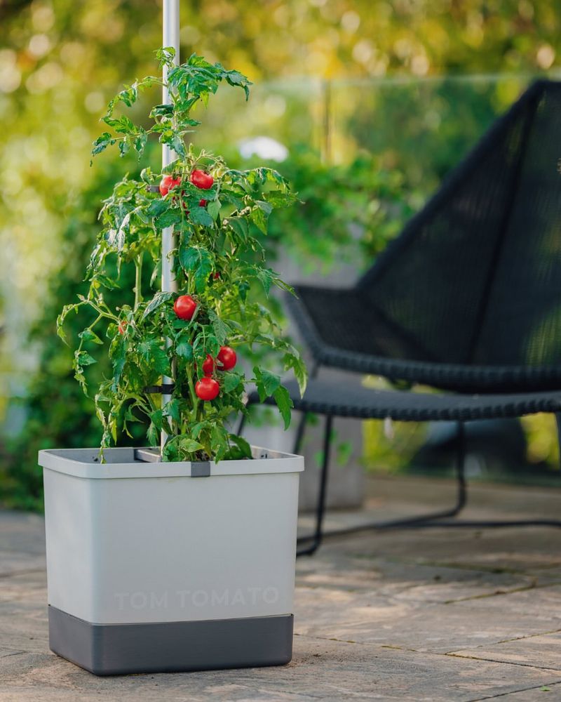 Consider Container Friendly Types For Better Control