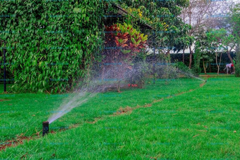 Check Irrigation Systems For Spring